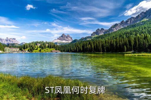 st鳳凰什么時(shí)候復(fù)牌，長(zhǎng)航鳳凰2013年七月一日怎么停牌了啊