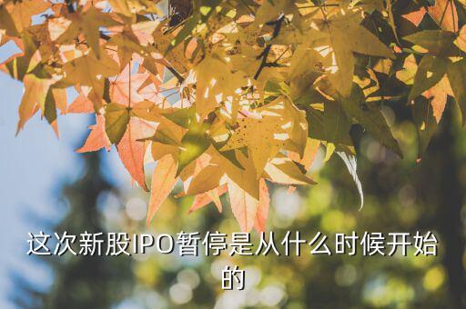 這次新股IPO暫停是從什么時(shí)候開(kāi)始的