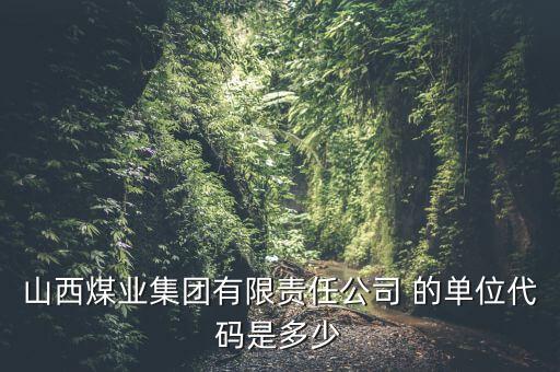 山西煤業(yè)集團有限責任公司 的單位代碼是多少