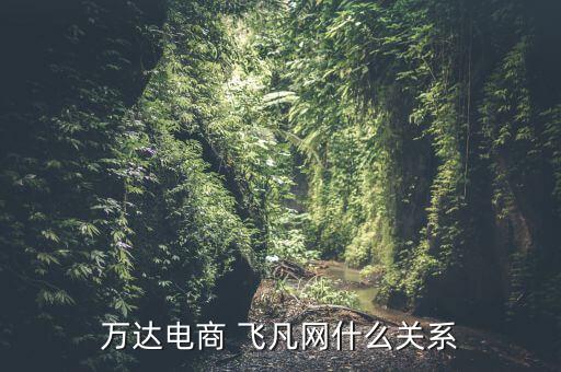 萬達(dá)電商 飛凡網(wǎng)什么關(guān)系