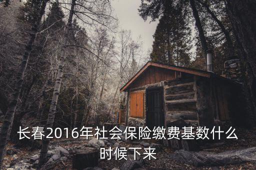 長(zhǎng)春2016年社會(huì)保險(xiǎn)繳費(fèi)基數(shù)什么時(shí)候下來