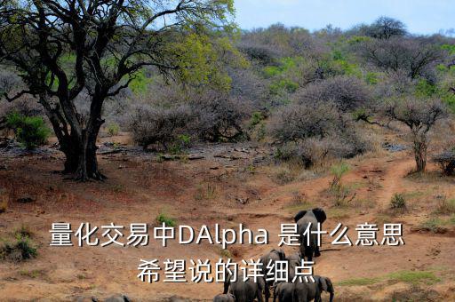 量化交易中DAlpha 是什么意思希望說(shuō)的詳細(xì)點(diǎn)