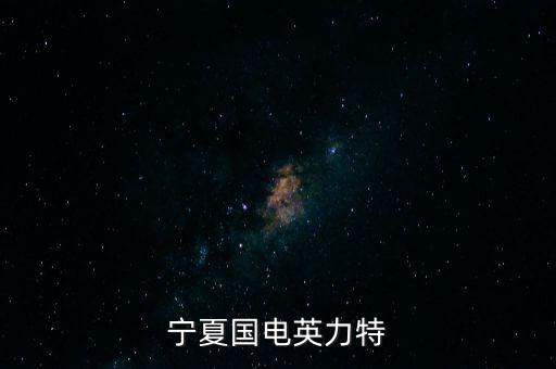 寧夏國電英力特