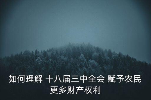 如何理解 十八屆三中全會(huì) 賦予農(nóng)民更多財(cái)產(chǎn)權(quán)利