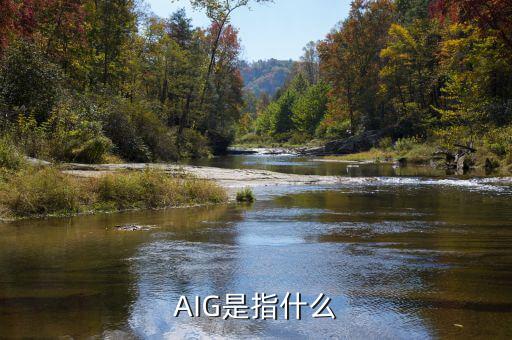 aig危機(jī)是什么，AIG為什么會(huì)瀕臨倒閉