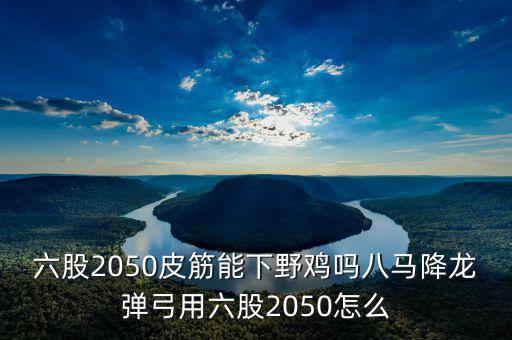 2050四股能下什么貨，2050四股到底配多大的鋼O合適