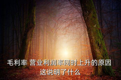 毛利率增長(zhǎng)說明什么，增值稅毛利率的高低說明什么