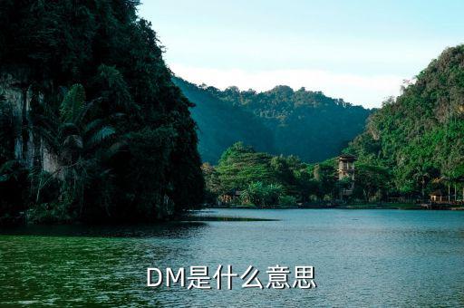 什么是dm理財(cái)，DM在國際金融里面是什么意思