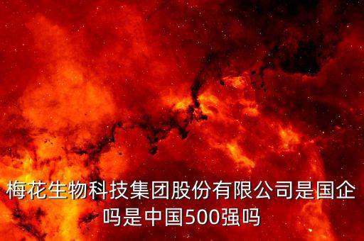 梅花生物科技集團股份有限公司是國企嗎是中國500強嗎