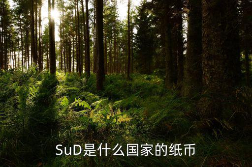 SuD是什么國(guó)家的紙幣