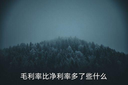 毛利率比凈利率多了些什么