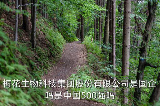 梅花生物是什么板塊，梅花生物科技集團股份有限公司是國企嗎是中國500強嗎