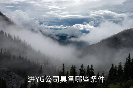 進信托公司有什么要求，進YG公司具備哪些條件