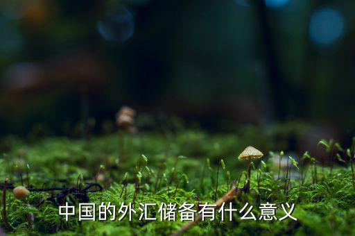 中國的外匯儲(chǔ)備有什么意義