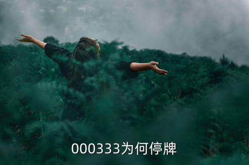 000333為什么停盤，000333為何停牌