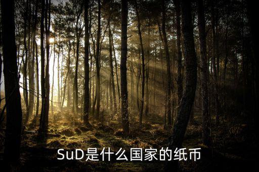 sud是什么貨幣，SUD是什么貨幣單位