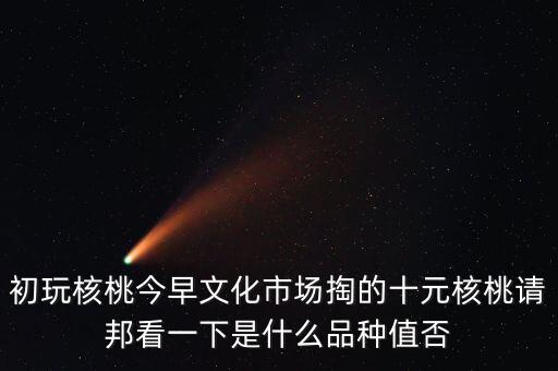 賭核桃是什么品種，請問我這個手玩核桃是什么品種好嗎值多錢