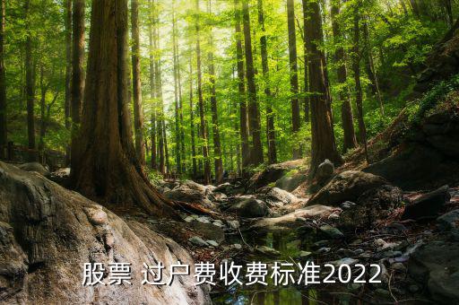  股票 過(guò)戶費(fèi)收費(fèi)標(biāo)準(zhǔn)2022