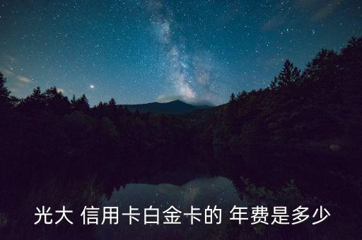 光大信用卡年費(fèi)怎么算,光大bank信用卡年費(fèi)如何免稅?