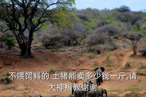 土豬銷售怎么樣,土豬和飼料豬同時(shí)養(yǎng)長更快適合人們食用