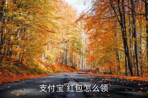 支付寶 紅包怎么領(lǐng)