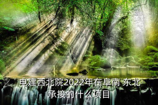  電建西北院2022年在阜南 東北承接的什么項(xiàng)目