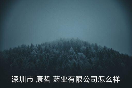 深圳市 康哲 藥業(yè)有限公司怎么樣