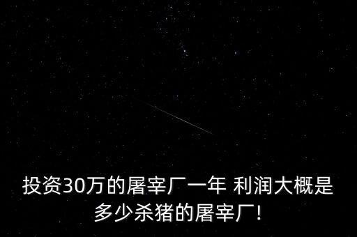 投資30萬的屠宰廠一年 利潤大概是多少殺豬的屠宰廠!