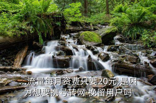 ...流量每月資費(fèi)只要20元,是因?yàn)橄胍獢y號(hào)轉(zhuǎn)網(wǎng) 挽留用戶嗎