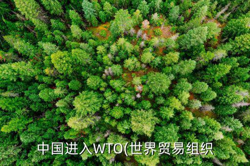 中國(guó)進(jìn)入WTO(世界貿(mào)易組織