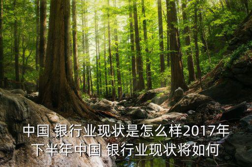 中國(guó) 銀行業(yè)現(xiàn)狀是怎么樣2017年下半年中國(guó) 銀行業(yè)現(xiàn)狀將如何