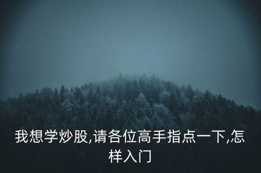 我想學(xué)炒股,請(qǐng)各位高手指點(diǎn)一下,怎樣入門(mén)