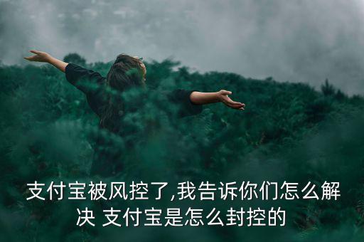  支付寶被風(fēng)控了,我告訴你們?cè)趺唇鉀Q 支付寶是怎么封控的