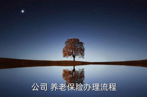 公司怎么辦養(yǎng)老保險,在職參保和繳費登記