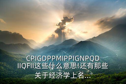 CPIGDPPMIPPIGNPQDIIQFII這些什么意思!還有那些關(guān)于經(jīng)濟(jì)學(xué)上名...