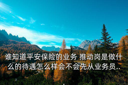 誰知道平安保險的業(yè)務(wù) 推動崗是做什么的待遇怎么樣會不會先從業(yè)務(wù)員...