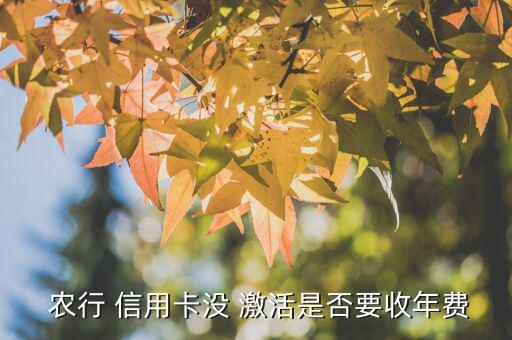  農(nóng)行 信用卡沒(méi) 激活是否要收年費(fèi)