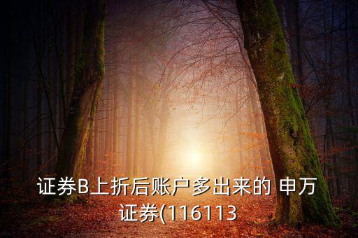  證券B上折后賬戶多出來的 申萬 證券(116113