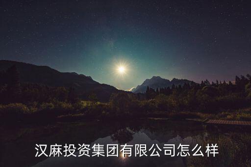  漢麻投資集團(tuán)有限公司怎么樣