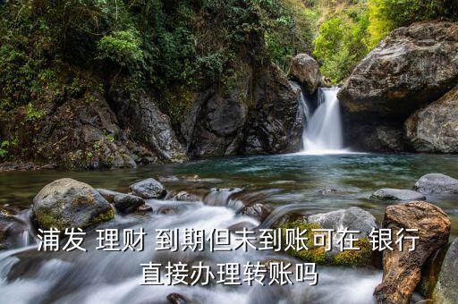 浦發(fā) 理財 到期但未到賬可在 銀行直接辦理轉(zhuǎn)賬嗎