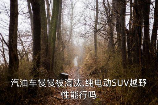 汽油車(chē)慢慢被淘汰,純電動(dòng)SUV越野性能行嗎