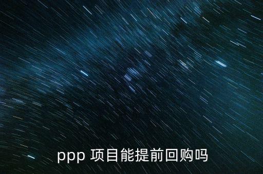 ppp項(xiàng)目怎么回款,回購交易合同約定的項(xiàng)目是什么?