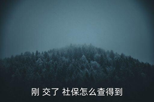 剛 交了 社保怎么查得到