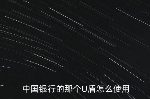  中國(guó)銀行的那個(gè)U盾怎么使用