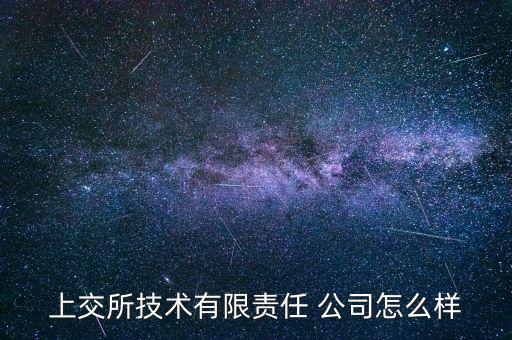 上交所技術有限責任 公司怎么樣