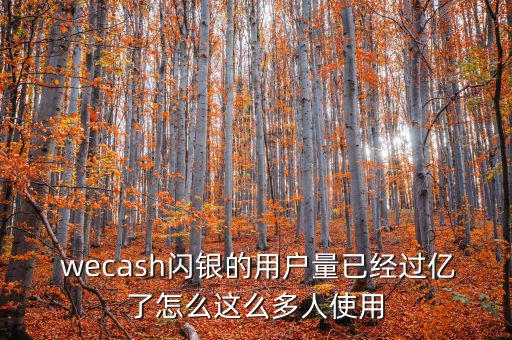  wecash閃銀的用戶量已經(jīng)過(guò)億了怎么這么多人使用