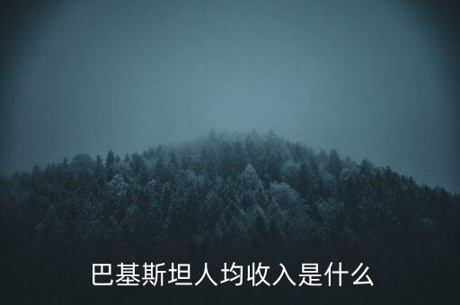  巴基斯坦人均收入是什么