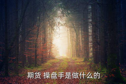 高頻股指期貨操盤(pán)手怎么辦,期貨操盤(pán)手必須知道的事