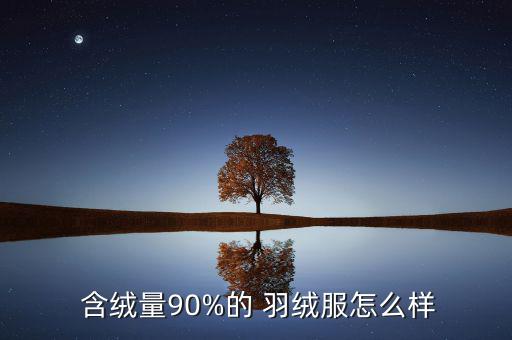  含絨量90%的 羽絨服怎么樣