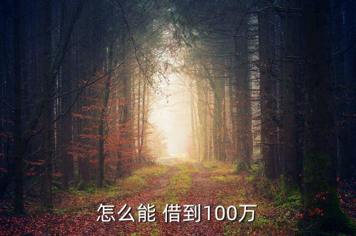 怎么能 借到100萬(wàn)